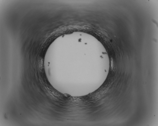 X0000097821492200804041347