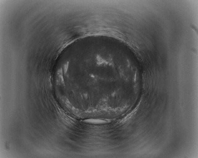 X0000097821497200804041347