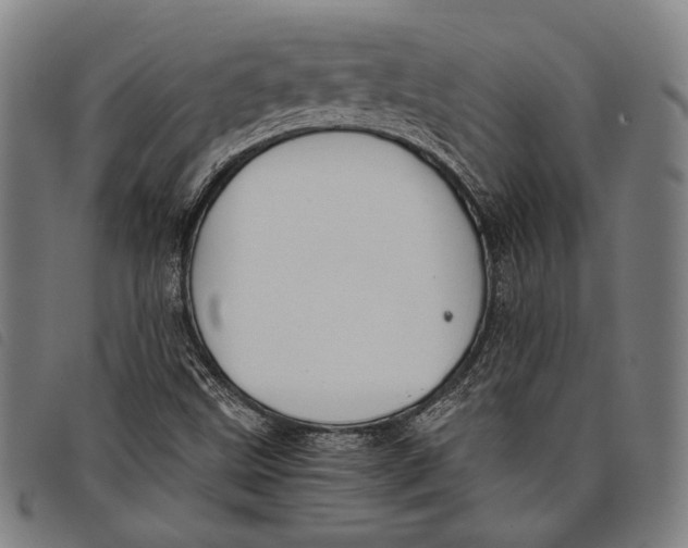 X0000097821499200804041347