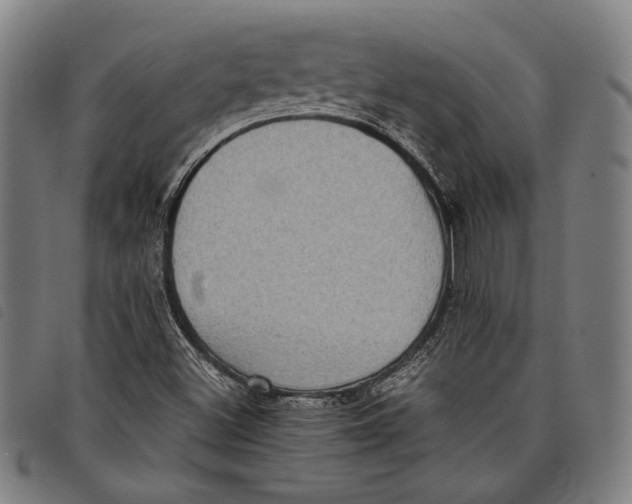 X0000097821500200804041347