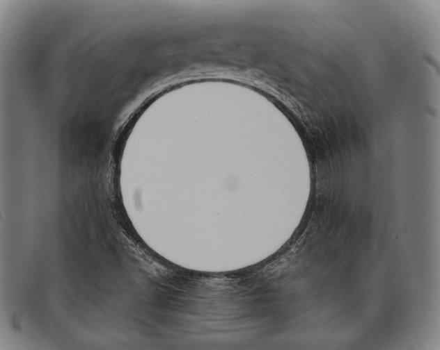 X0000097821502200804041347