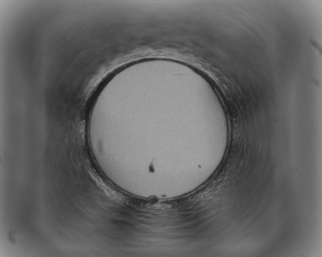 X0000097821503200804041347