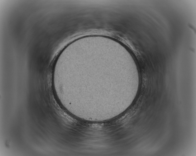 X0000097821504200804041347