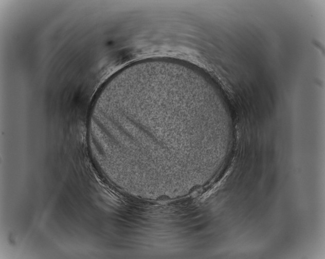 X0000097821505200804041347