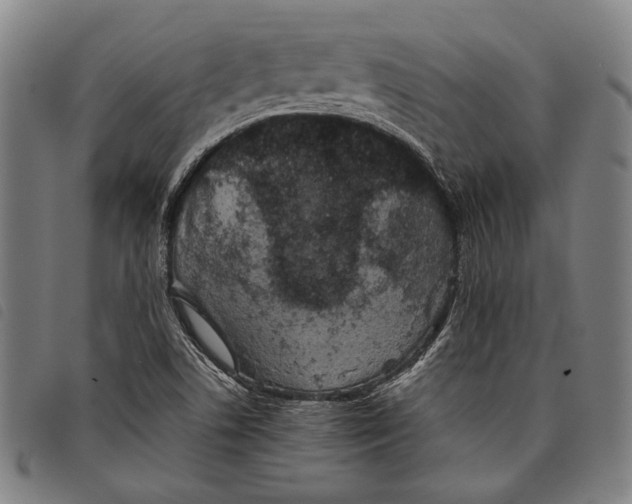 X0000097821506200804041347