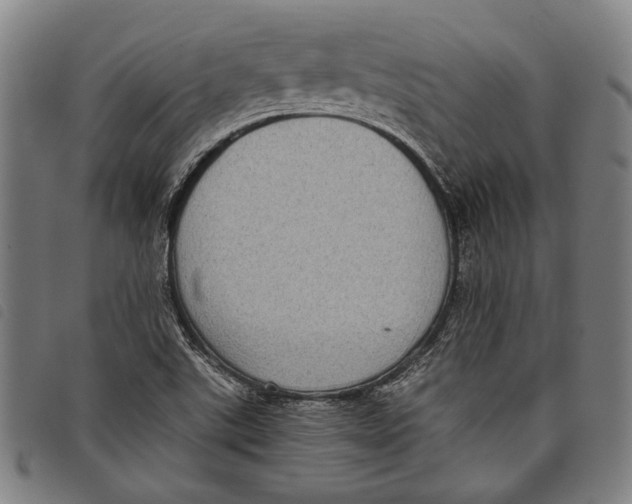 X0000097821507200804041347