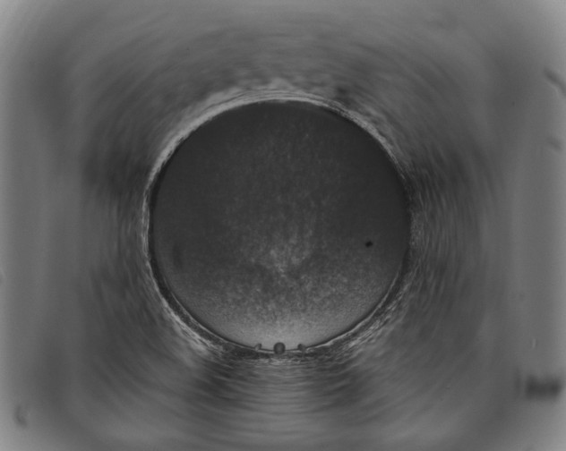 X0000097821508200804041347