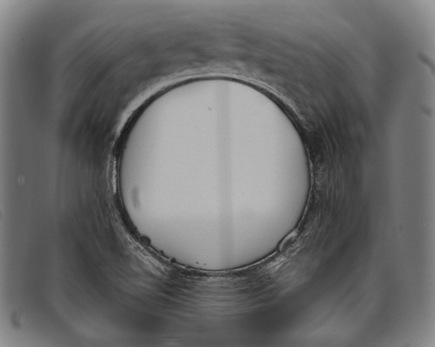 X0000097821510200804041347