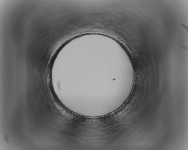 X0000097821511200804041347