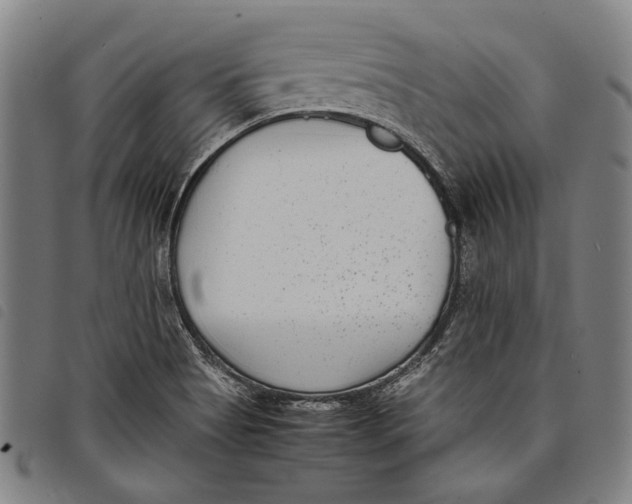 X0000097821513200804041347