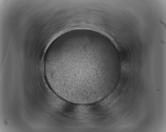 X0000097821514200804041347