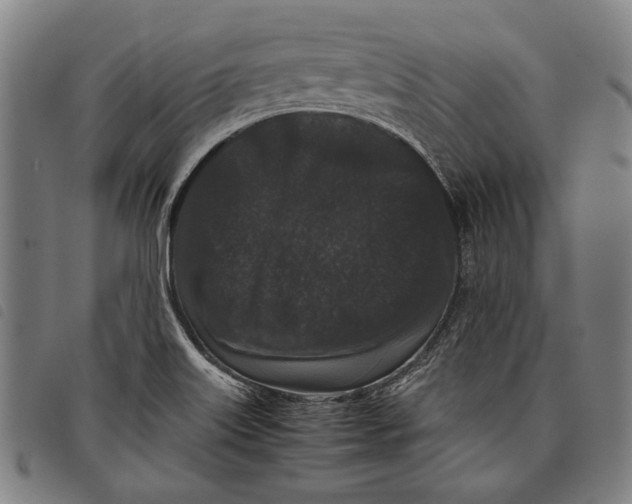 X0000097821515200804041347