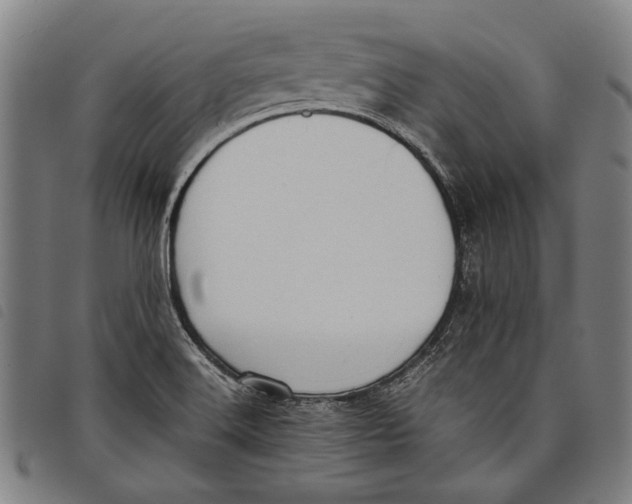 X0000097821516200804041347