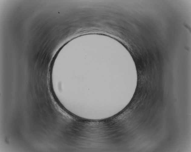 X0000097821518200804041347