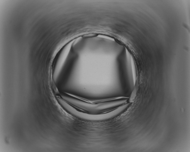 X0000097821520200804041347