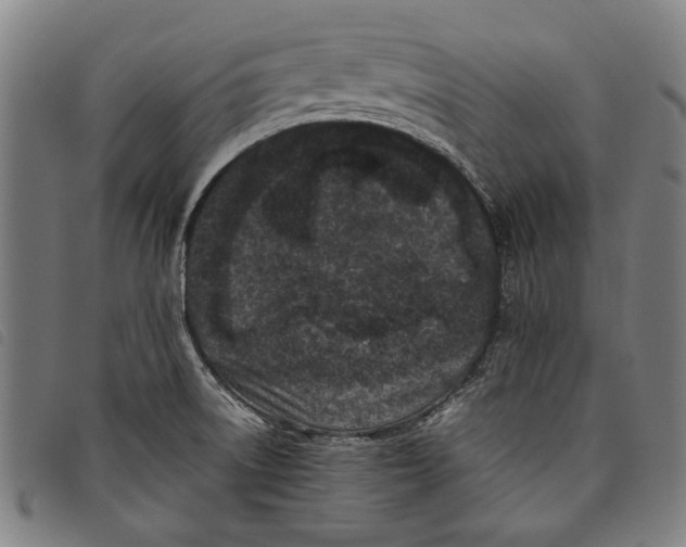 X0000097821522200804041347