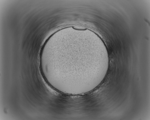 X0000097821523200804041347