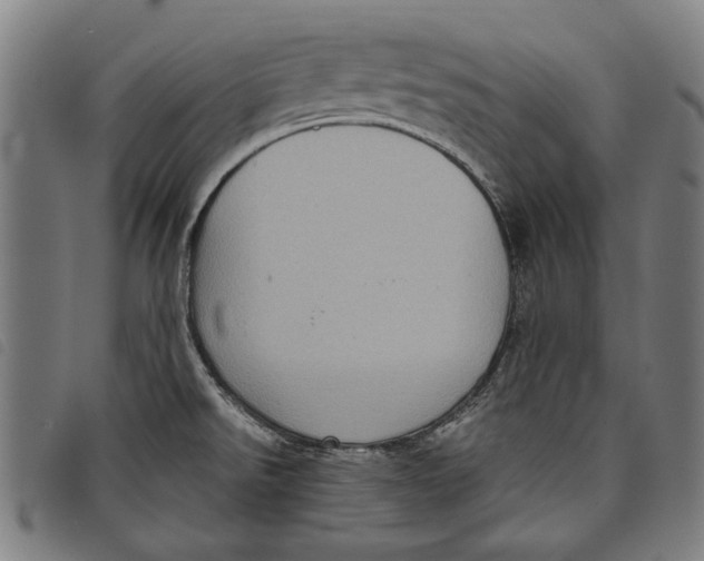 X0000097821526200804041347