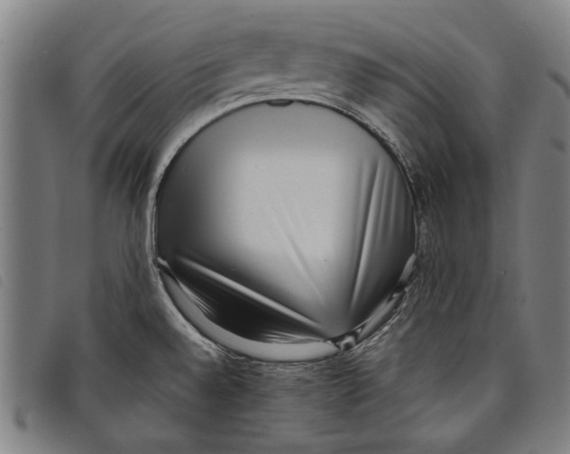 X0000097821528200804041347