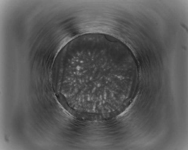 X0000097821529200804041347