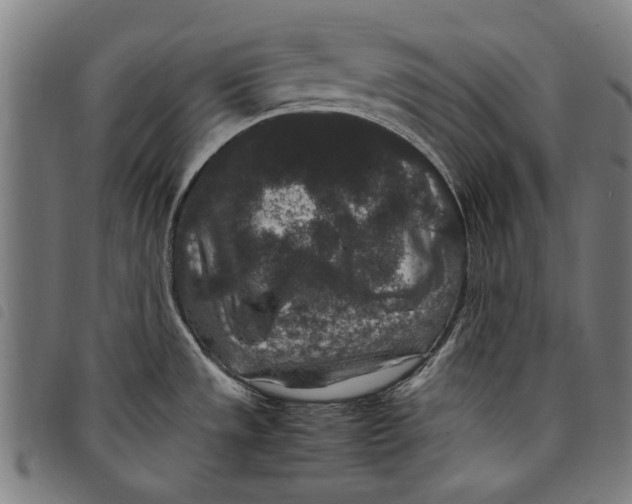 X0000097821533200804041347