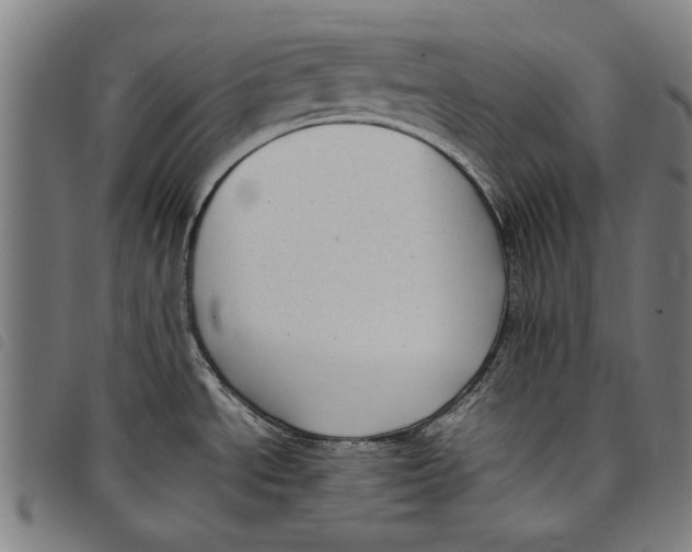 X0000097821534200804041347