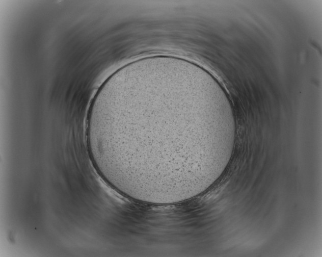 X0000097821535200804041347