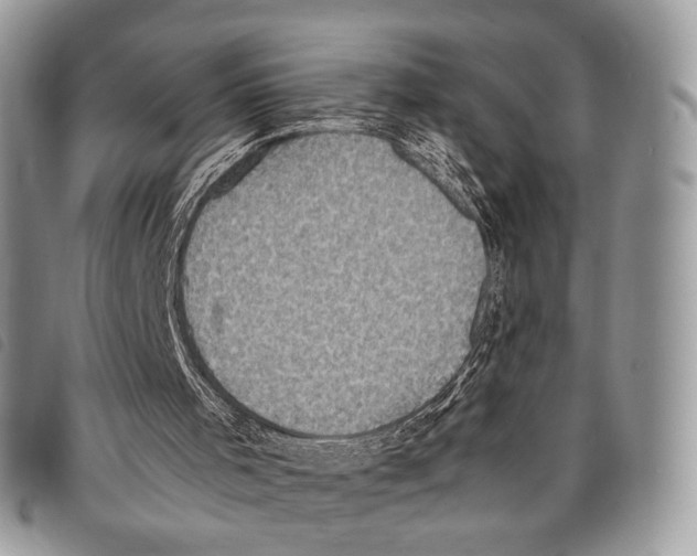 X0000097820001200804111026