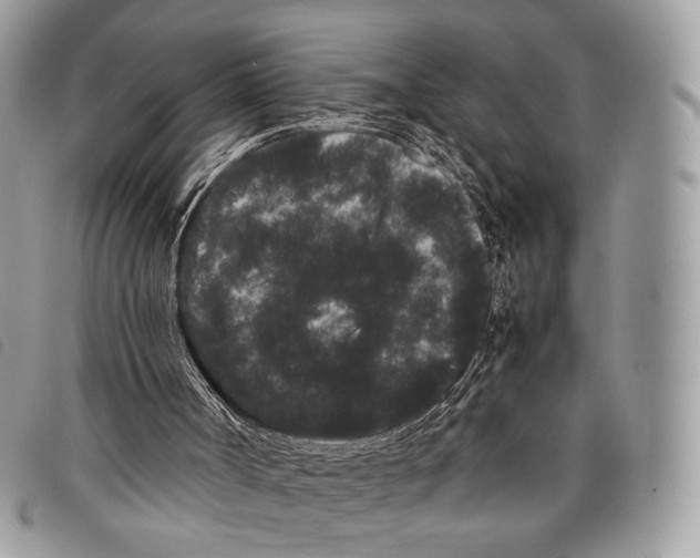 X0000097820002200804111026