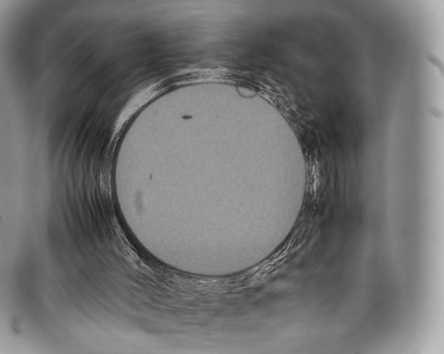 X0000097820004200804111026