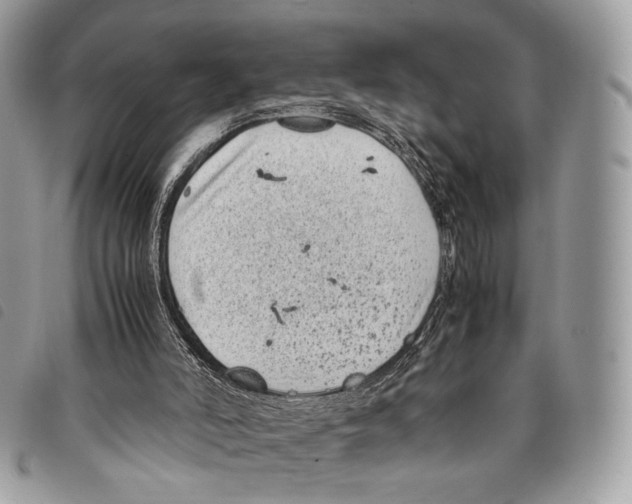 X0000097820006200804111026