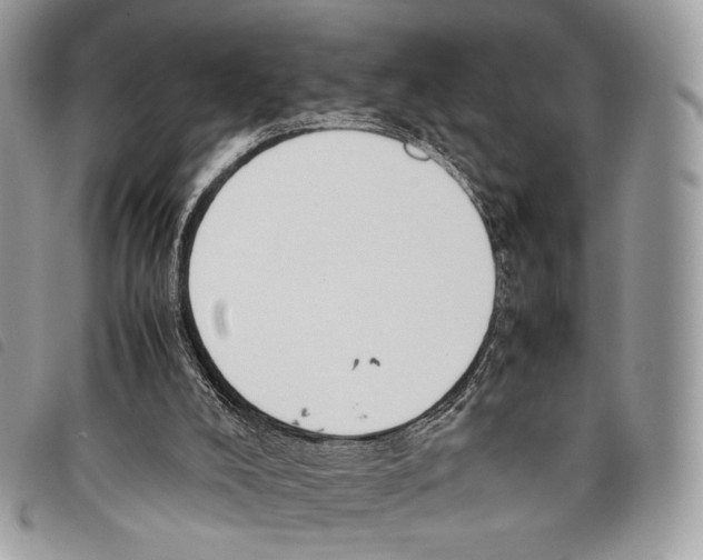 X0000097820008200804111026