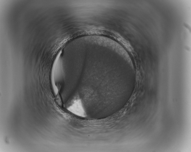 X0000097820009200804111026