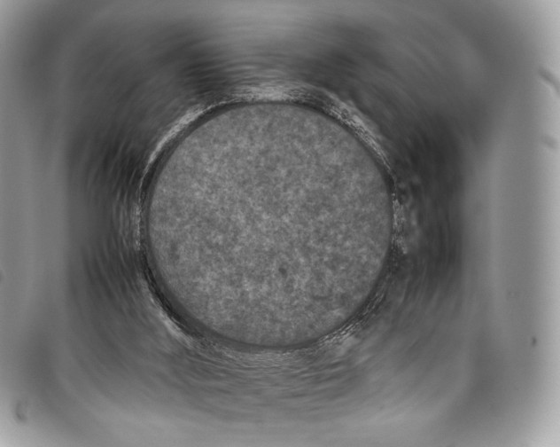 X0000097820012200804111026