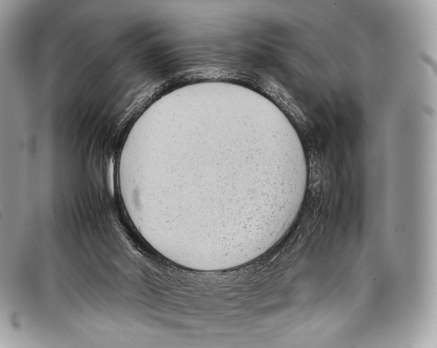 X0000097820014200804111026