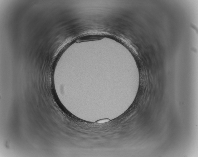 X0000097820015200804111026