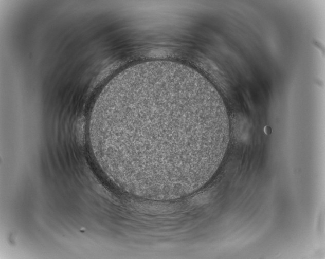 X0000097820016200804111026