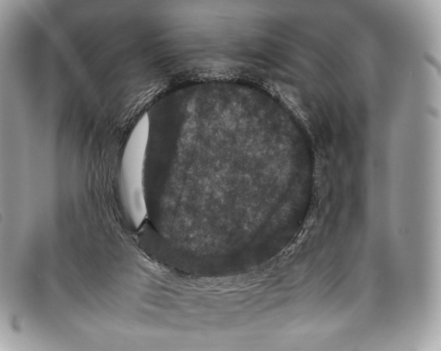 X0000097820017200804111026