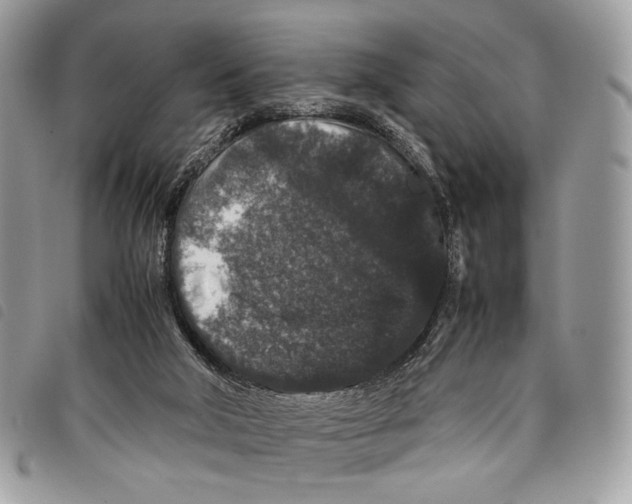 X0000097820018200804111026