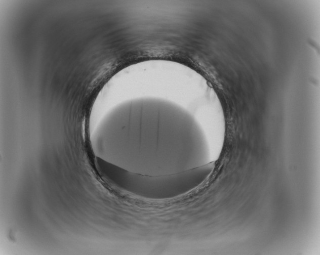 X0000097820019200804111026