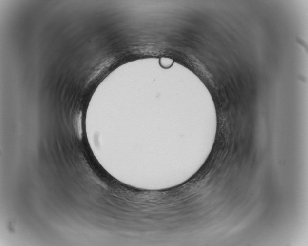 X0000097820020200804111026