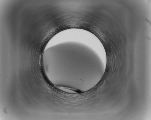 X0000097820023200804111026