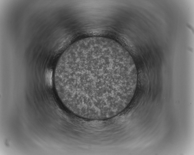 X0000097820024200804111026