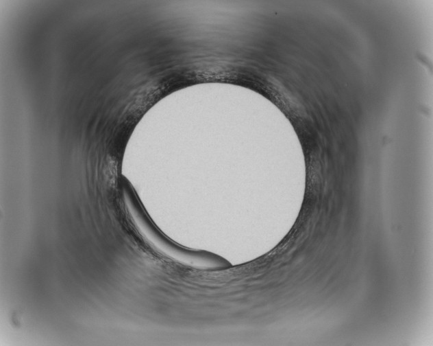 X0000097820025200804111026