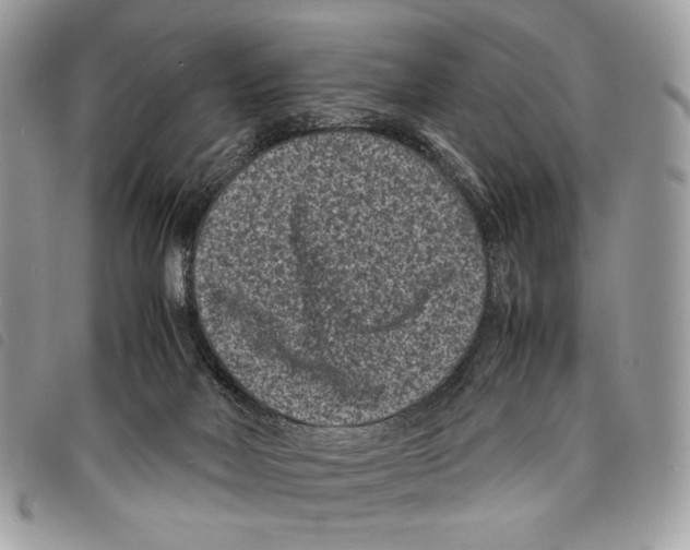 X0000097820026200804111026