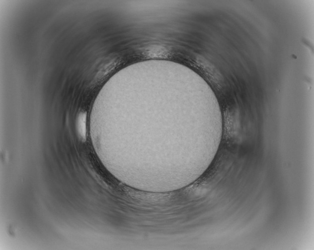 X0000097820028200804111026