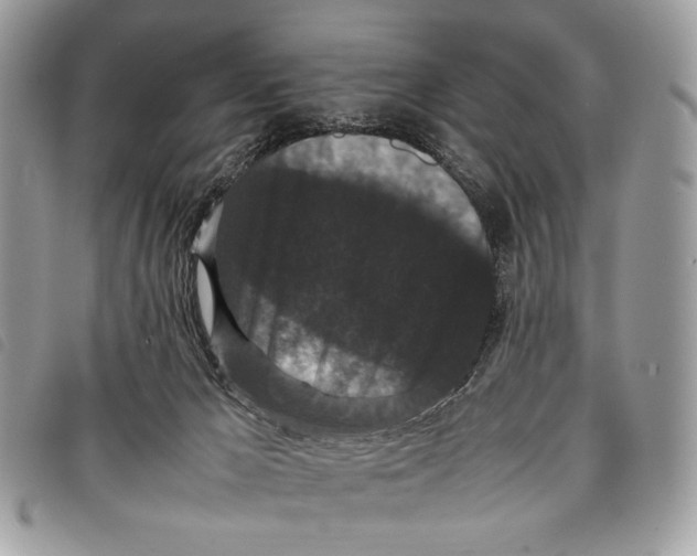 X0000097820029200804111026