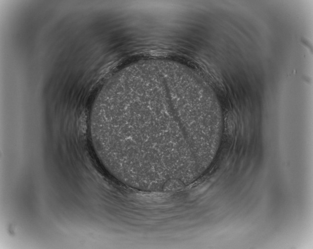 X0000097820032200804111026