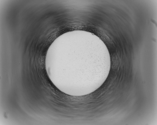 X0000097820034200804111026