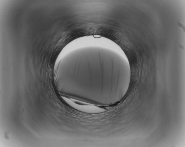 X0000097820035200804111025